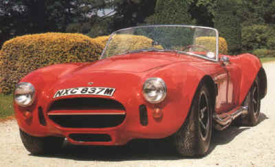 AC Cobra.jpg (58601 Byte)